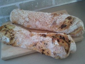 1503246_721090714576318_1351800109_n