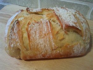 10255215_840392342639388_4297349644242211387_n